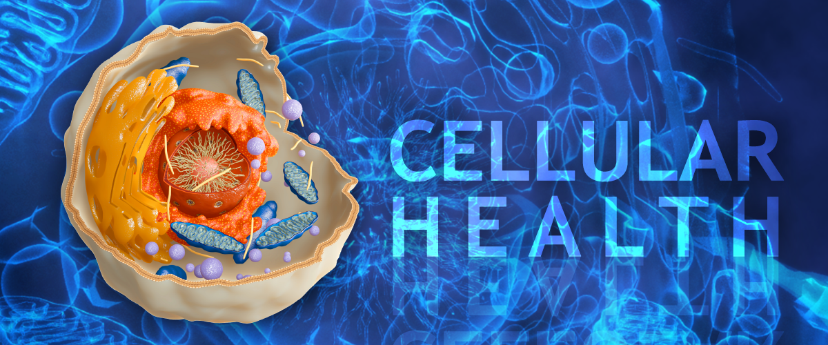 cellular health
