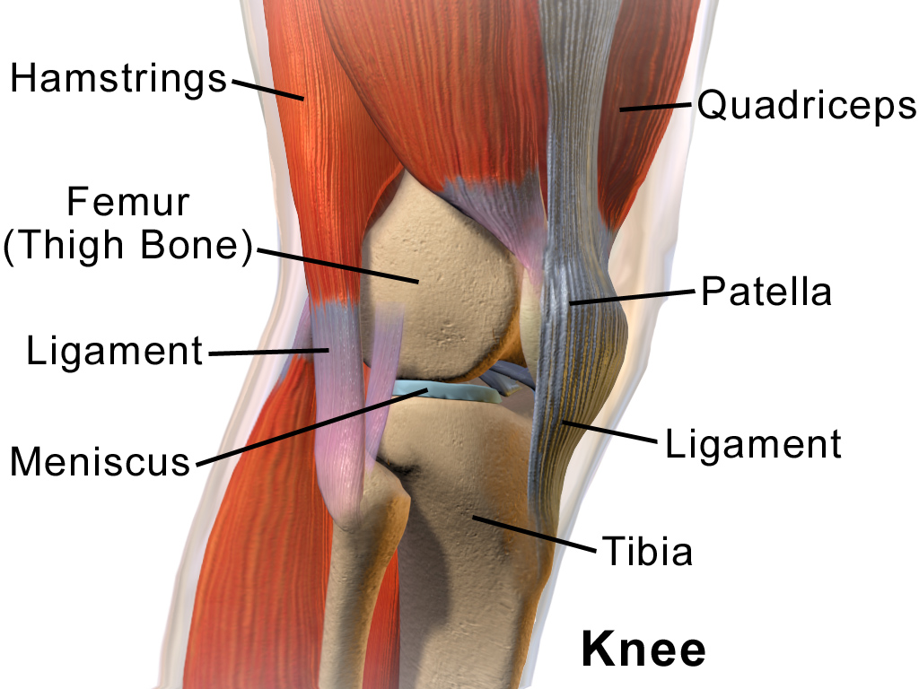 Knee pain 2