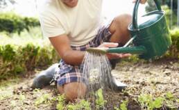 6 Tips On How to Garden with Back Pain